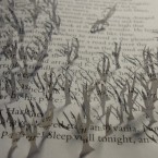 TitelBuch